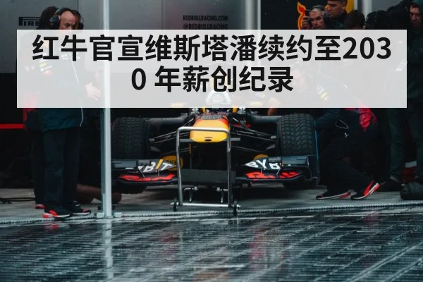 Red Bull Formula 1 team pit crew